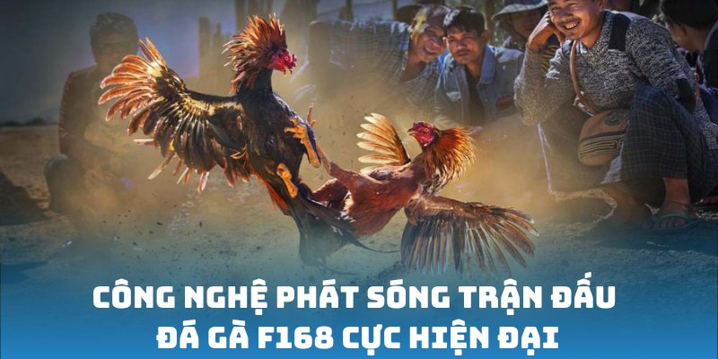 Công nghệ phát sóng trận đấu đá gà F168 cực hiện đại