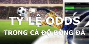 4 loại Odds được sử dụng nhiều nhất trong cá độ bóng đá